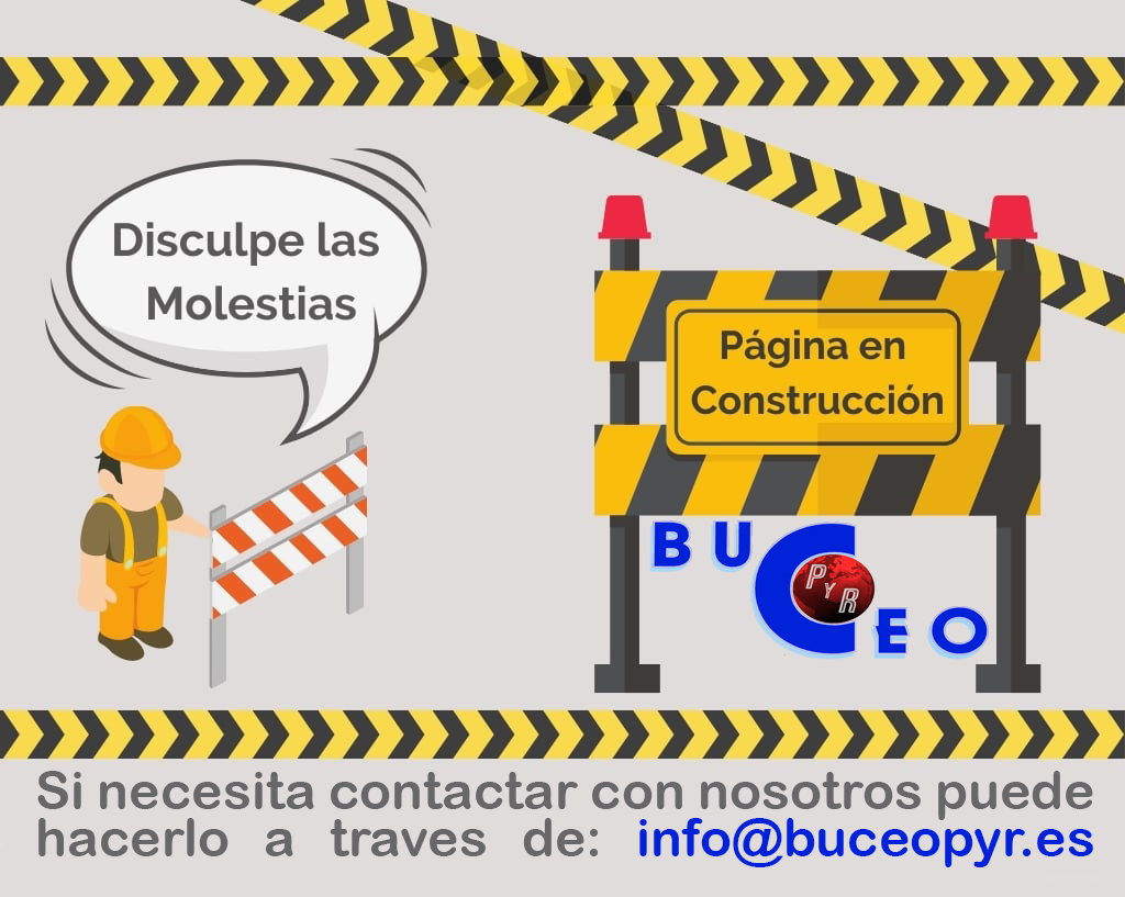 Página en construcción